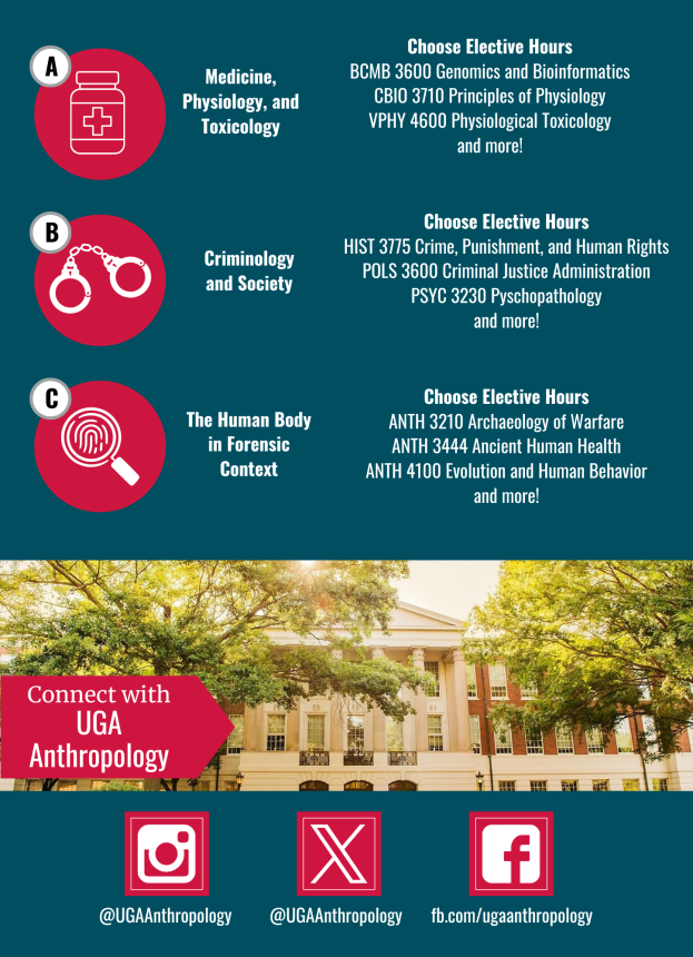 pathway flyer