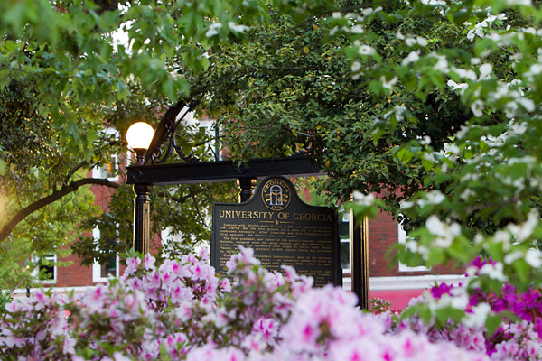 UGA Arch in spring