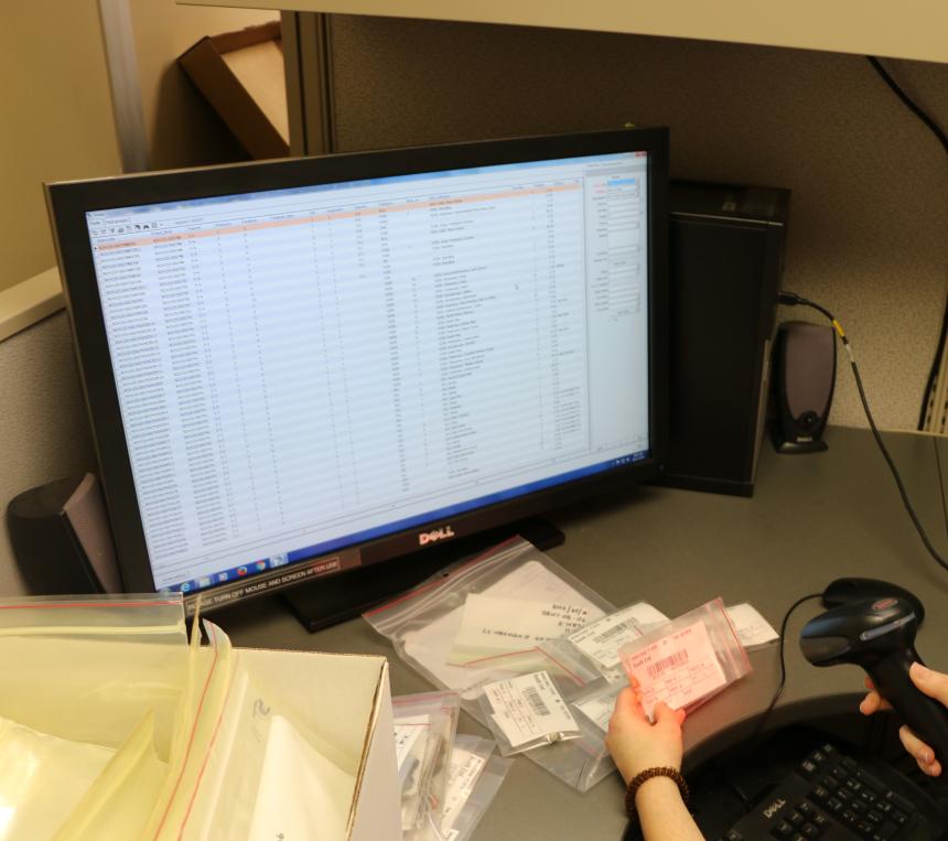 sittfiele