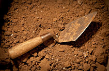 Trowel in dirt