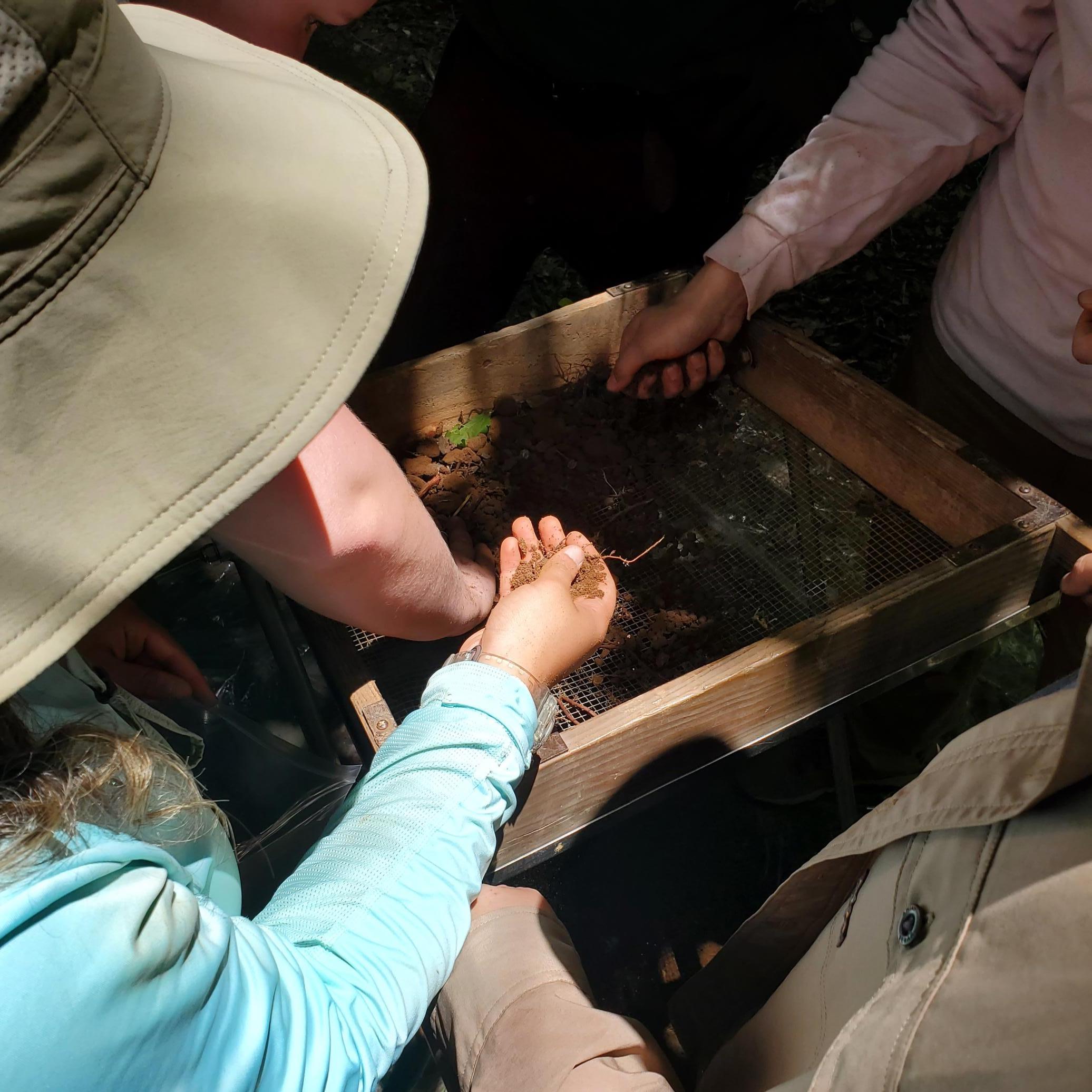 Faith Macdonald: Shovel Test Screening at 2023 Brown's Mount (9BI5) Archaeological Field School