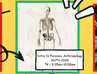 class flier