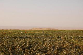 Photo of Northern Mesopotamia