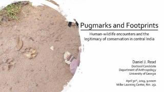 Pugmarks