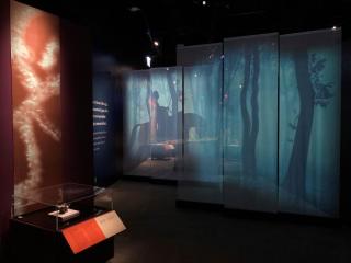 exhibit entrance
