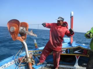 A fish caught using longline gear, which will be sold in local markets (Image: WWF-Pakistan)