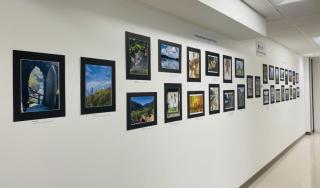 Photo Gallery