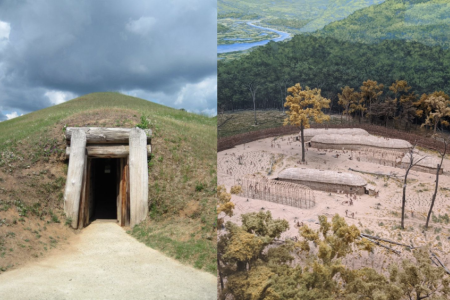 Field site images