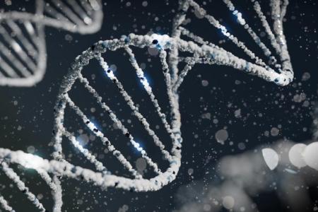 DNA strand
