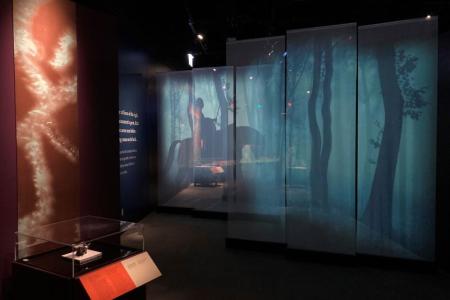 exhibit entrance