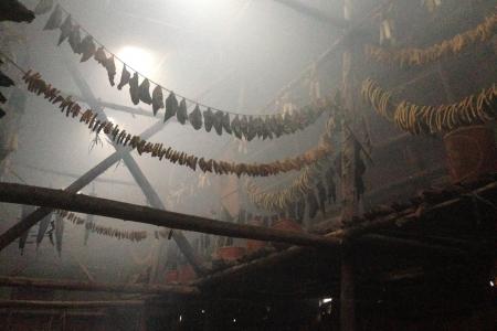 Interior view of reconstructed Iroquois longhouse