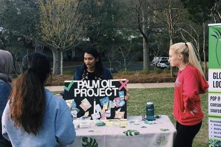 The Palm Oil Project
