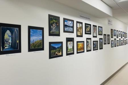 Photo Gallery