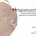 Pugmarks